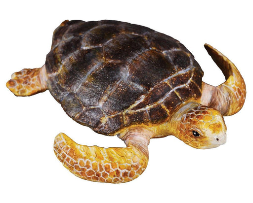 Loggerhead Turtle Model Breyer 