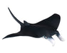 Manta Ray Model Breyer 