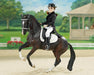 Megan - Dressage Rider 8" Figure Model Breyer 