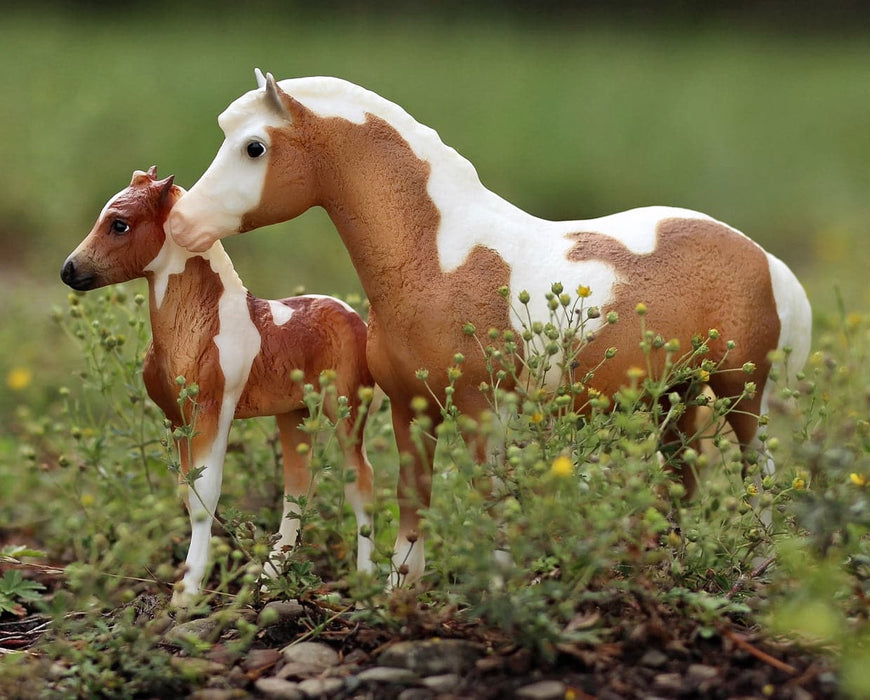 Misty & Stormy - Models and Book Set Model Breyer 