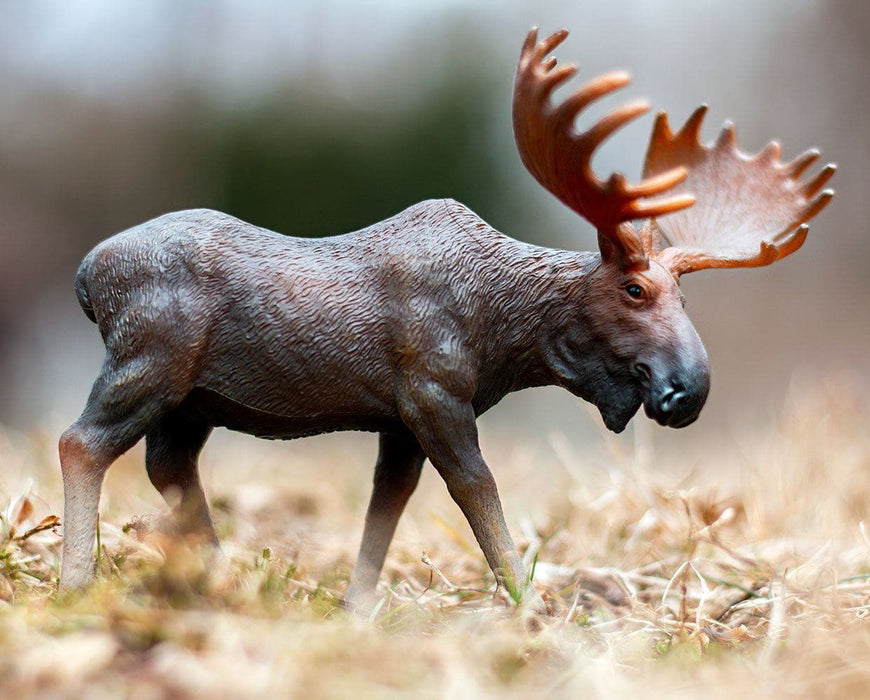 Moose Model Breyer 