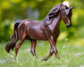 MorganQuest Native Sun Model Breyer 