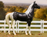 National Velvet Horse and Book Set Model Breyer 