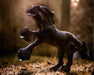 Obsidian Model Breyer 