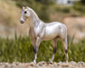 Pearly Grey Trakehner Model Breyer 