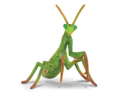 Praying Mantis