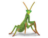 Praying Mantis Model Breyer 