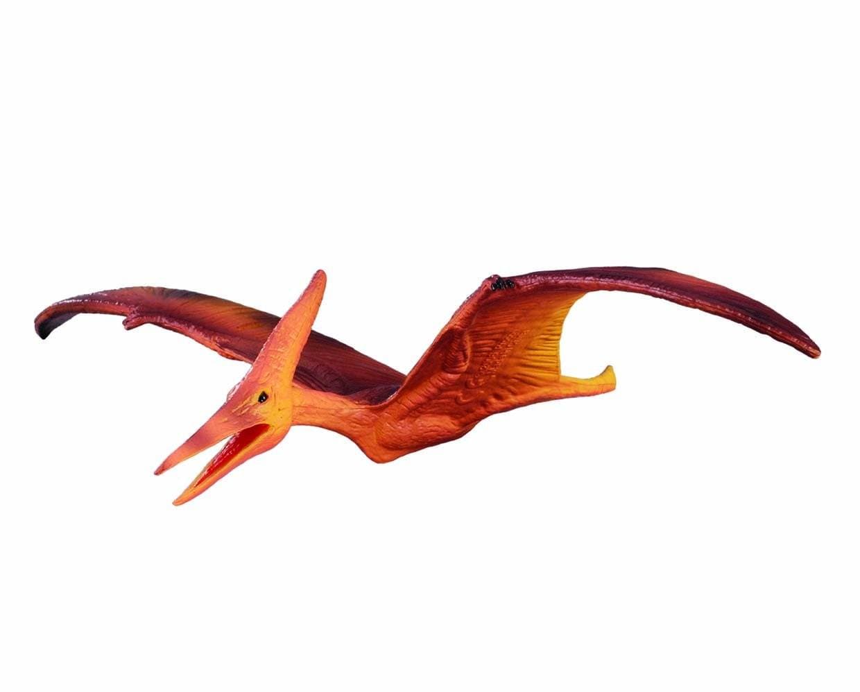 Pterodactyl: Facts about pteranodon and other pterosaurs