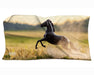 Quarter Horse Beach Towel | 30" x 60"