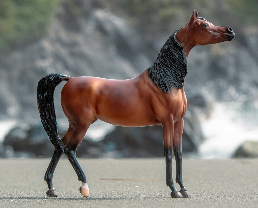 Breyer RD Marciea Bey - Champion Arabian Mare