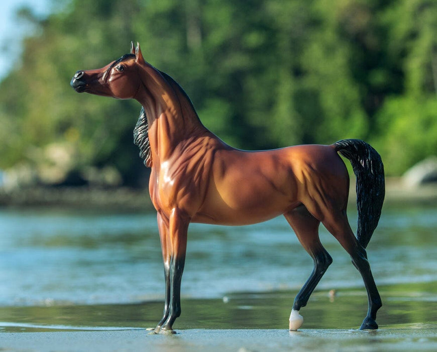 Breyer RD Marciea Bey - Champion Arabian Mare