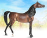 RD Marciea Bey | Champion Arabian Mare on background