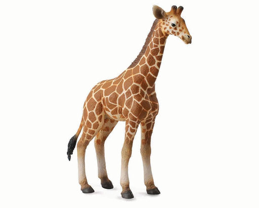 Reticulated Giraffe Calf Model Breyer 