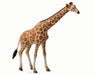 Reticulated Giraffe Model Breyer 