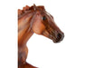 Secretariat Model Breyer 