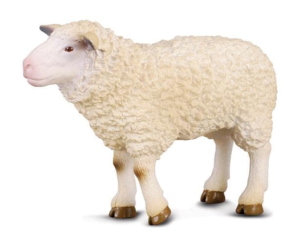 Sheep Model Breyer 