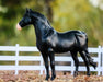 Spanish Mustang Family Model Breyer 