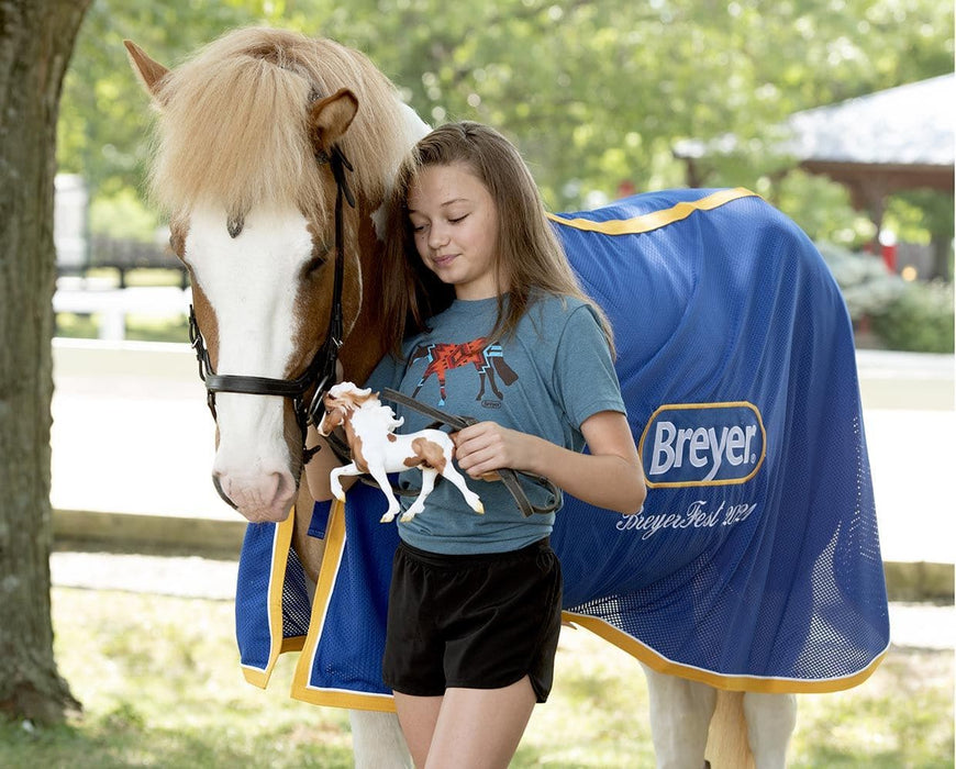 A girl in a Breyer shirt with Sporður frá Bergi