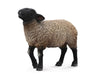 Suffolk Sheep Model Breyer 