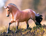 Breyer Sweetwater's Zorah Belle - Fjord Horse