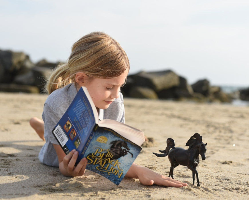 The Black Stallion Horse & Book Set Model Breyer 