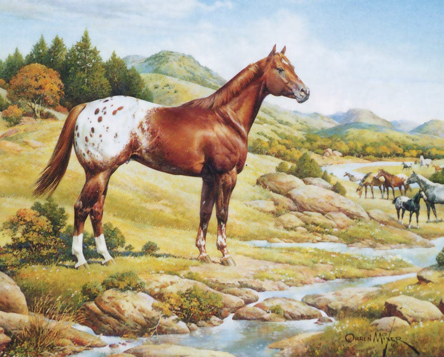 Breyer The Ideal Series - Appaloosa