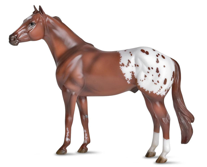 The Ideal Series - Appaloosa facing left