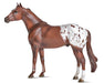 The Ideal Series - Appaloosa facing left