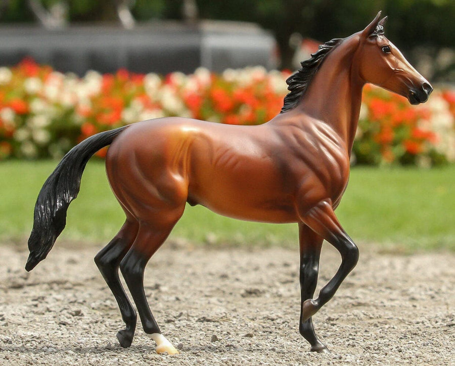 Sweetwater's Zorah Belle-Fjord Mare Mold-Breyer Traditional