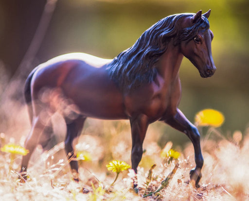 Vivaldi de Besilu Model Breyer 