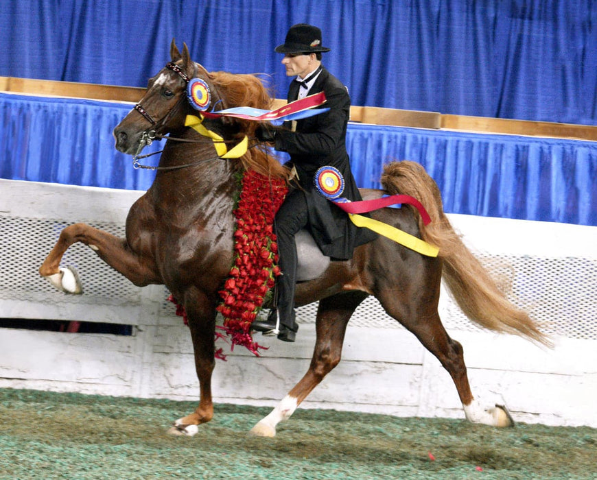 WGC Marc of Charm Model Breyer 