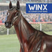 Winx Model Breyer 